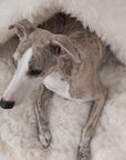 Natural Sheepskin Pet Cave - White
