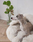 Natural Sheepskin Pet Cave - White