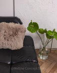 Square Natural Sheepskin Pillow - Greige