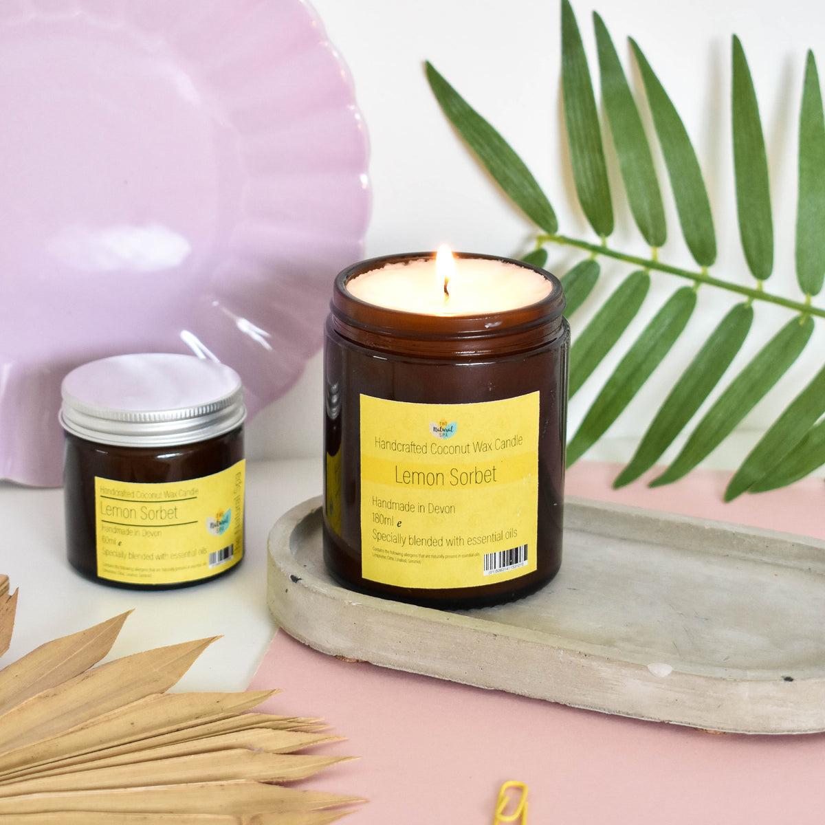 Lemon Sorbet Hand-Poured Coconut Wax Candle | Citrus &amp; Natural Aromatherapy | Vegan, Eco-Friendly Candle | 2 Size Options