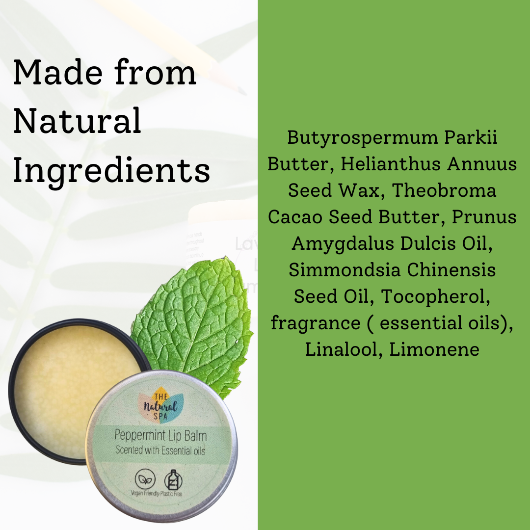 Peppermint Natural Lip Balm | Vegan, Hydrating &amp; Nourishing | Plastic-Free, Handmade Lip Care