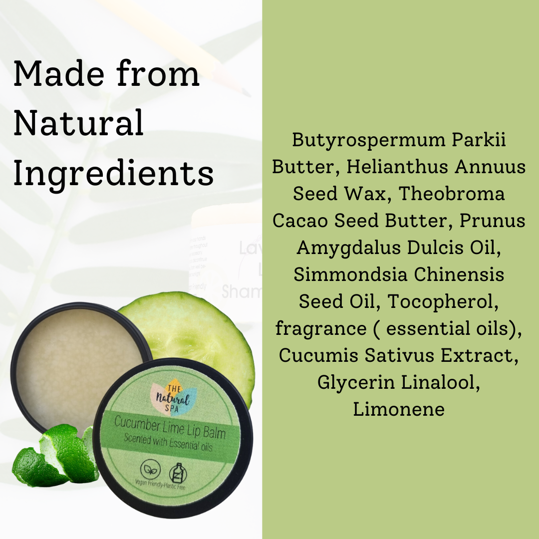 Cucumber Lime Natural Lip Balm | Vegan, Hydrating &amp; Nourishing | Plastic-Free, Handmade Lip Care
