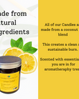Lemon Sorbet Hand-Poured Coconut Wax Candle | Citrus & Natural Aromatherapy | Vegan, Eco-Friendly Candle | 2 Size Options