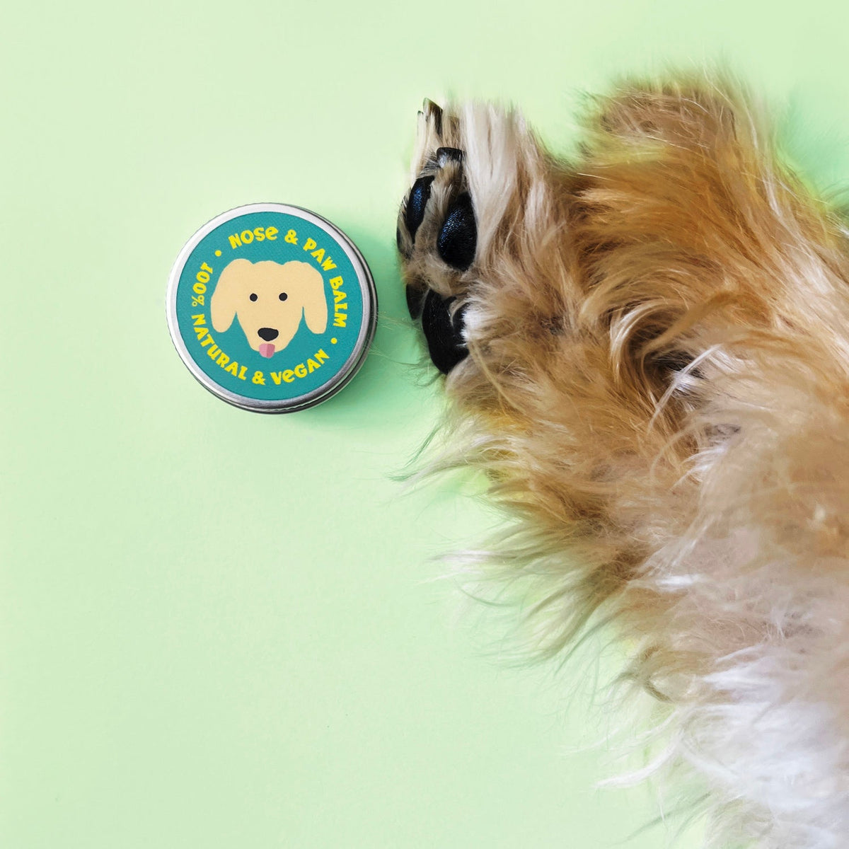 Nose and Paw Balm for Dogs