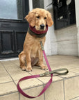 Dottie Wine & Olive Colour Block Lead