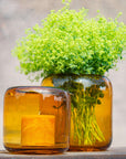 VASE MAZURKA - AMBER by DutZ