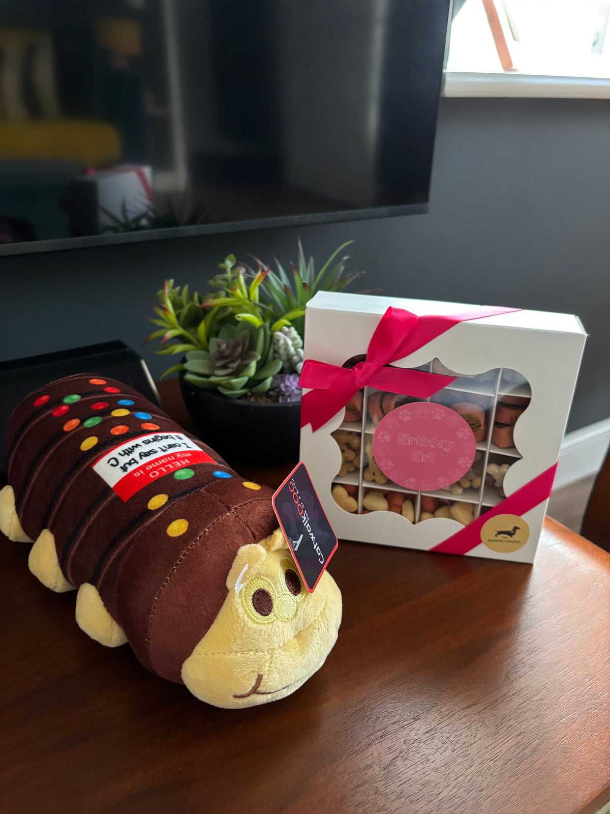 CatwalkDog C Word Caterpillar Cake Toy