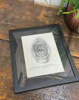 Victorian Anatomy Engraving – Antique Medical Print R