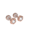 Unity earrings