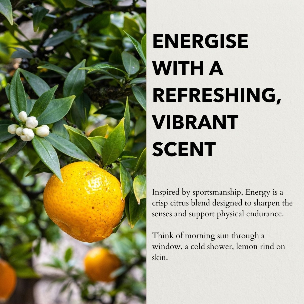 Energy Eau de Parfum | Enhance Endurance &amp; Sharpen Clarity 100ml