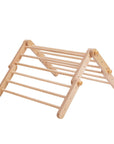 MOPITRI Climbing Triangle – Adaptive & Eco-Friendly Play Gear by Ette Tete at www.brixbailey.com