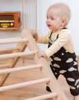 SIPITRI® 2 Segment Climbing Triangle With a Sliding/Climbing Ramp