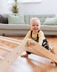 SIPITRI® 2 Segment Climbing Triangle With a Sliding/Climbing Ramp