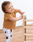 SIPITRI® 2 Segment Climbing Triangle With a Sliding/Climbing Ramp