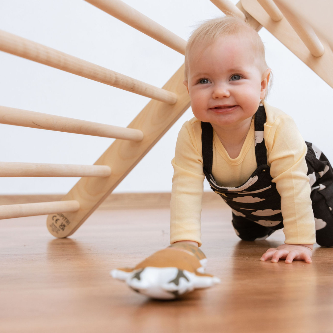 SIPITRI Climbing Triangle – Safe, Fun &amp; Educational Toy by Ette Tete at www.brixbailey.com