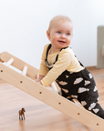 SIPITRI® 2 Segment Climbing Triangle With a Sliding/Climbing Ramp