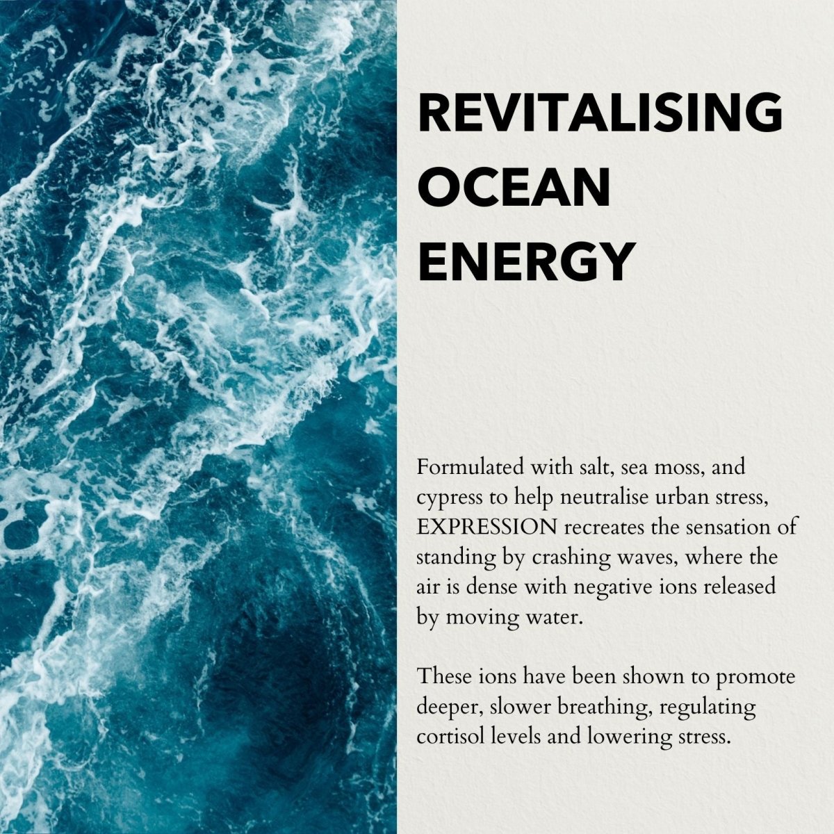 Expression Eau de Parfum | Open the Breath &amp; Support Expression 10ml