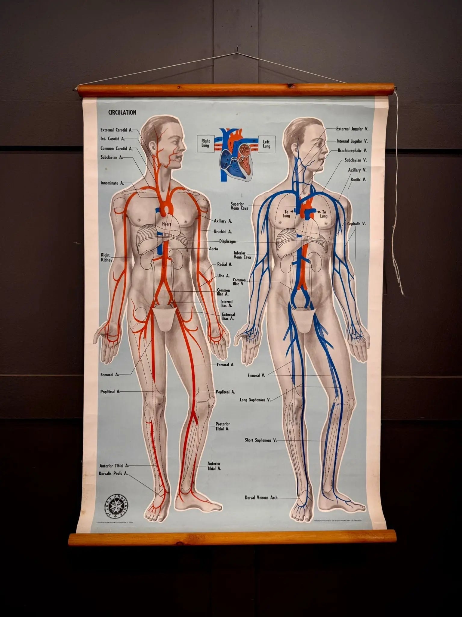 Vintage St John Ambulance Circulation Chart Soman-Wherry Norwich c.1950s