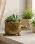 Tortoise Planter Pot | Brass Finish Indoor Succulent Holder