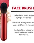 FACE BRUSH