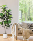 Artificial Fiddle Leaf Tree 5ft