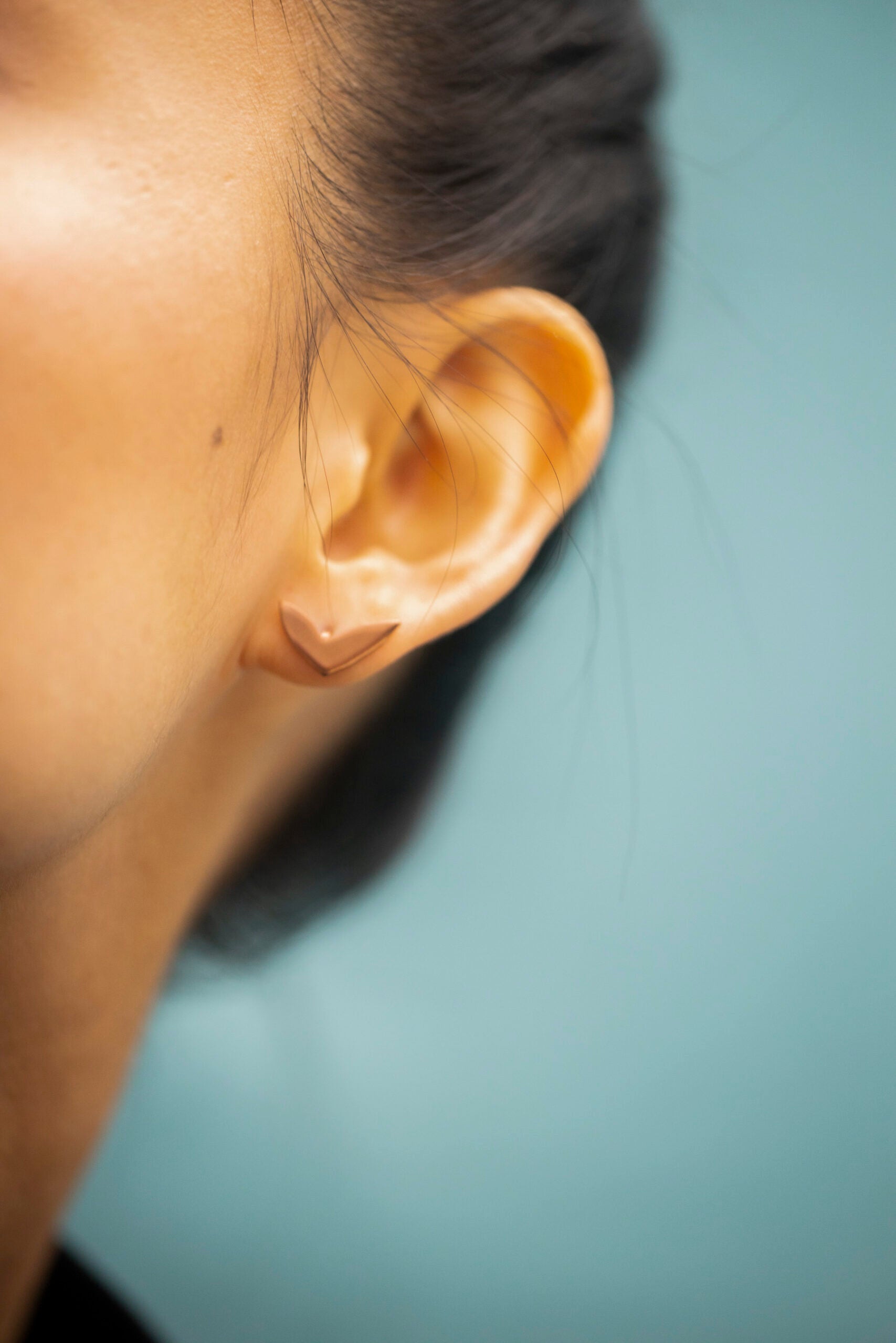 Rose Gold Stainless Steel Earrings