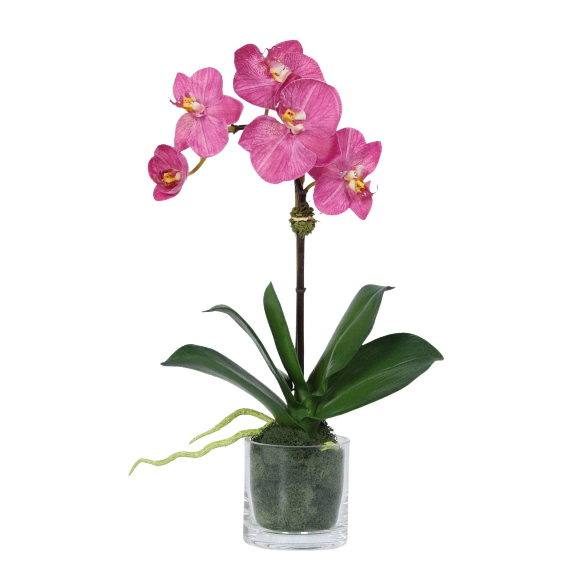 Faux Orchid Plant in Glass Vase