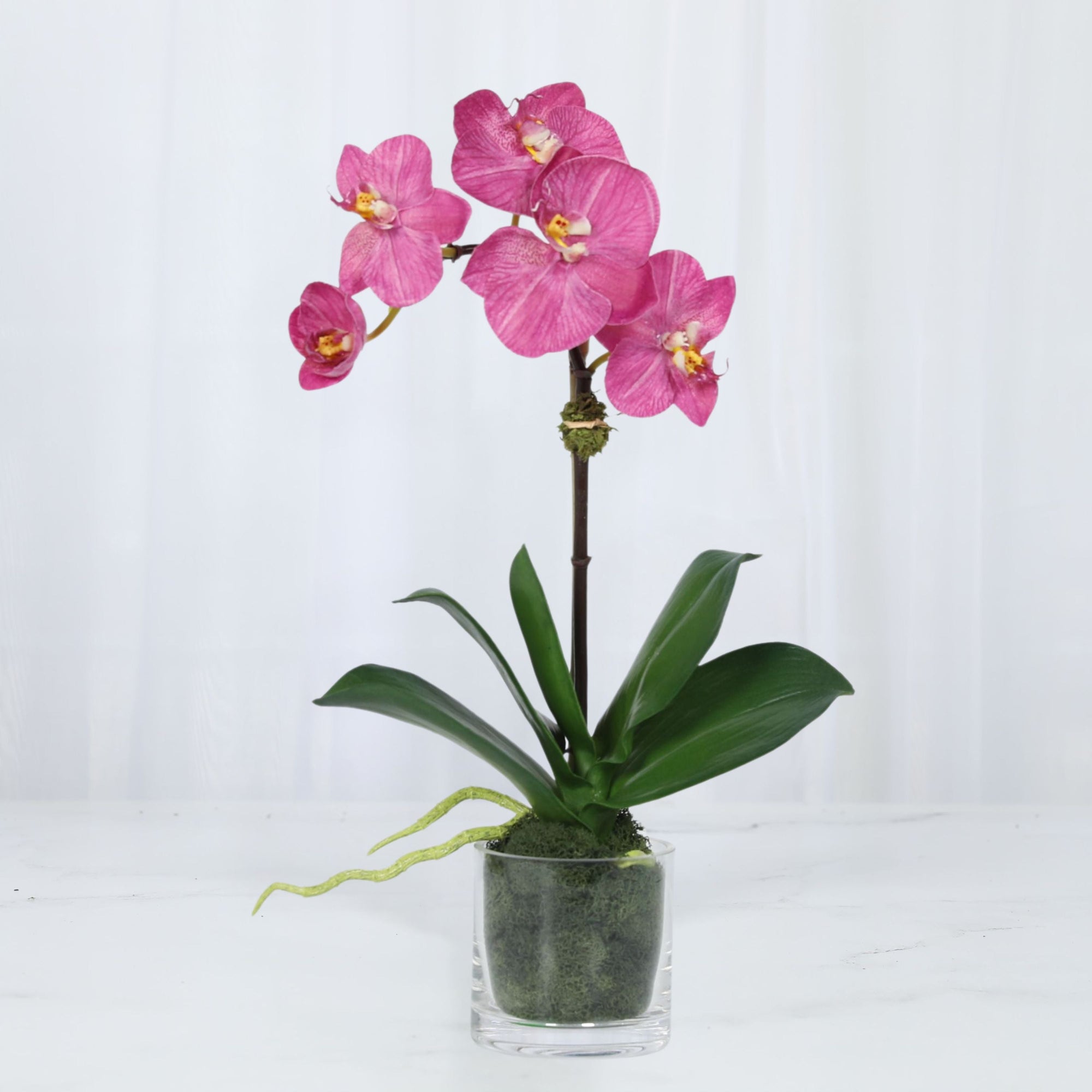 Faux Orchid Plant in Glass Vase