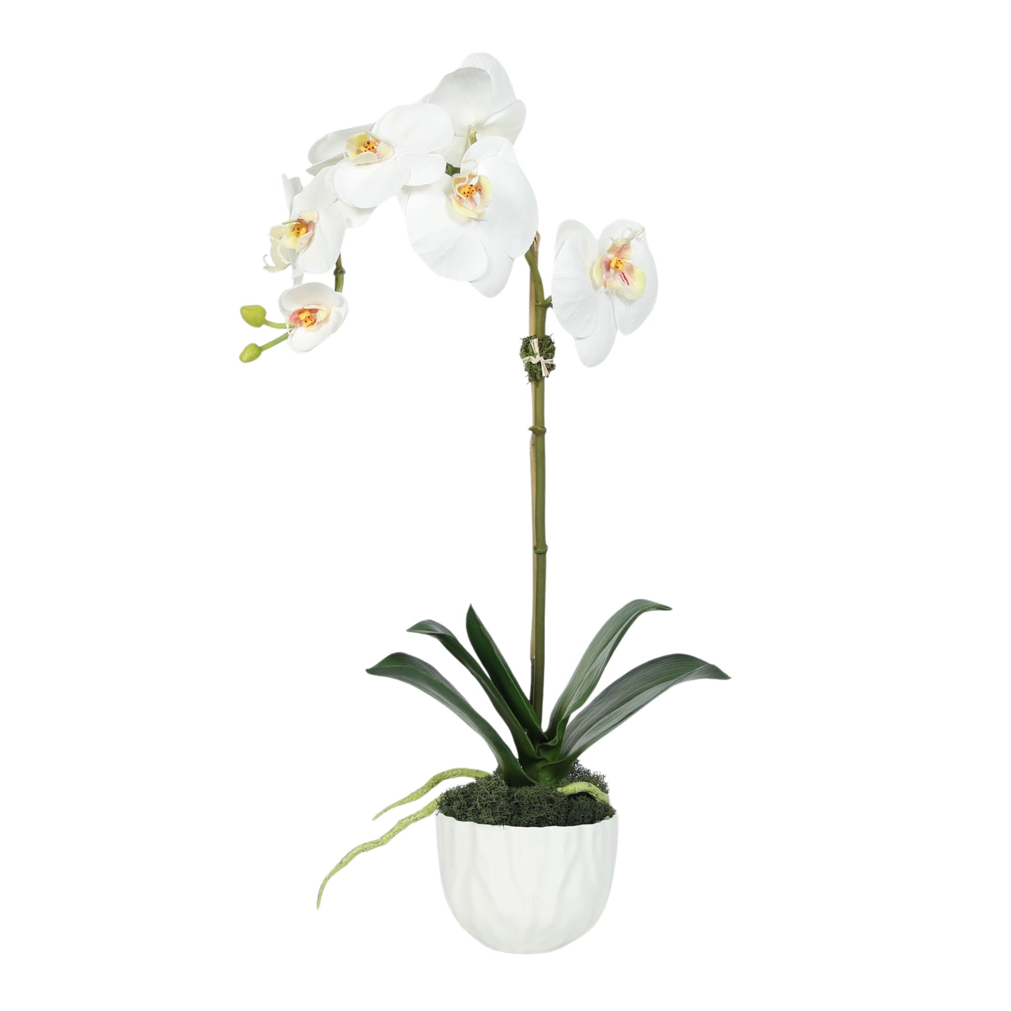 Faux Orchid Plant in White Vase - 18"