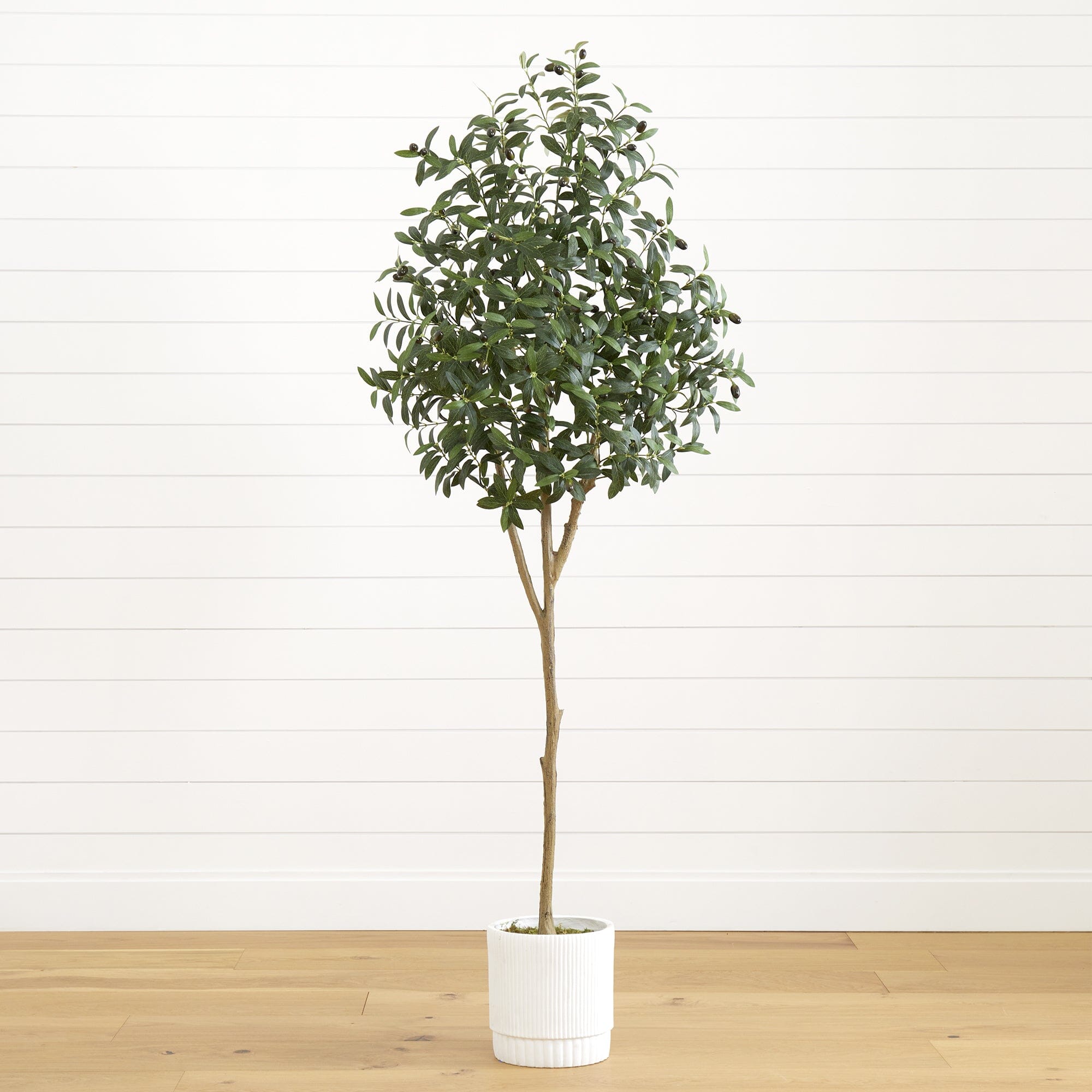 Faux Olive Tree in White Planter