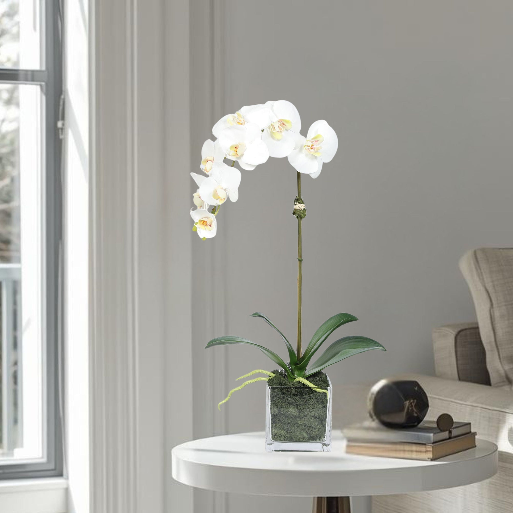 Faux Orchid Plant in Square Vase - 20"