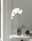 Faux Orchid Plant in Square Vase - 20"