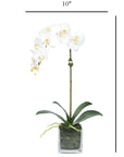 Faux Orchid Plant in Square Vase - 20"