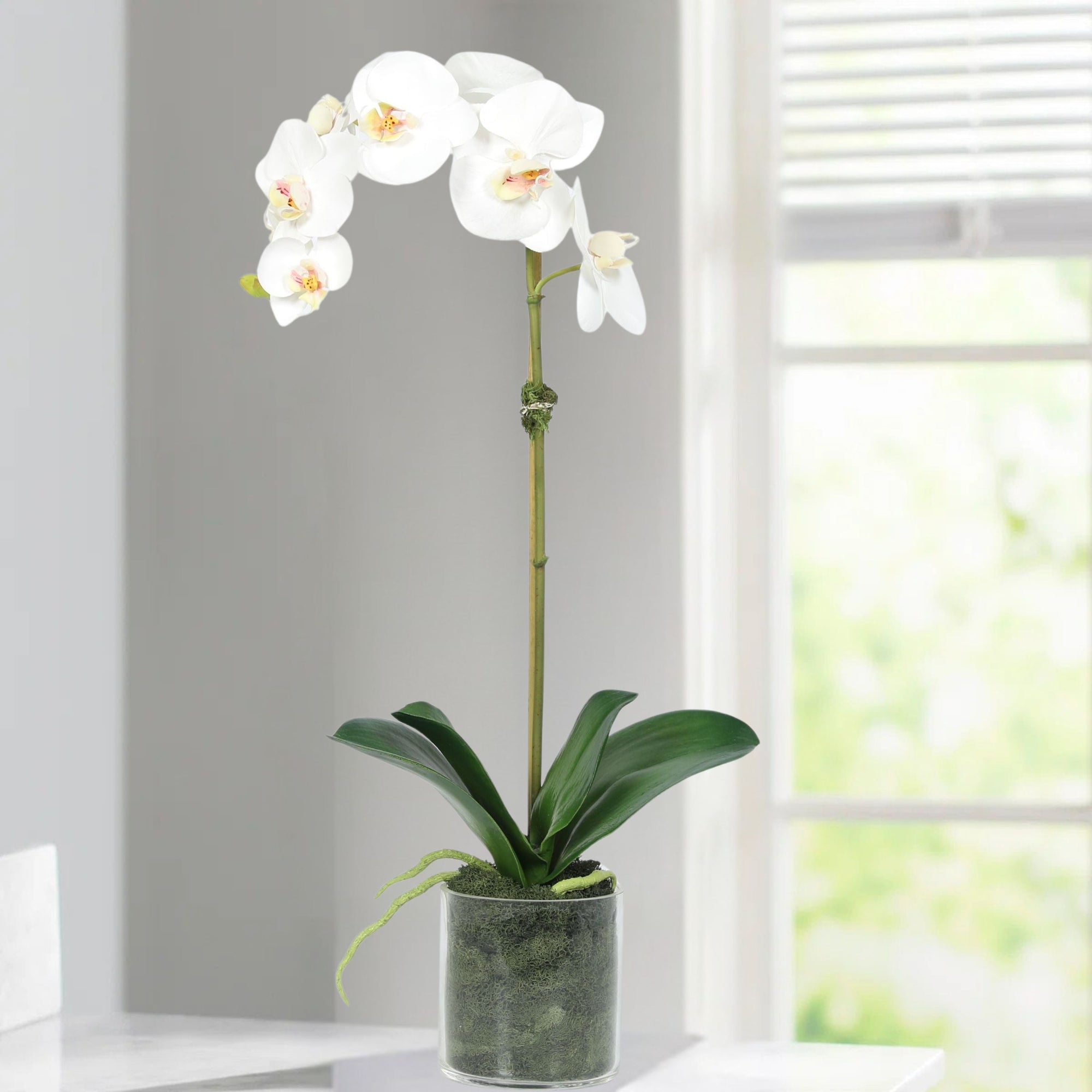 Artificial Orchid Plant in Vase - 20"