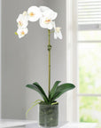 Artificial Orchid Plant in Vase - 20"