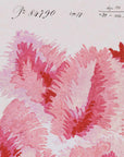 No.032 - Venus Plumes - Vintage Archive Poster Prints