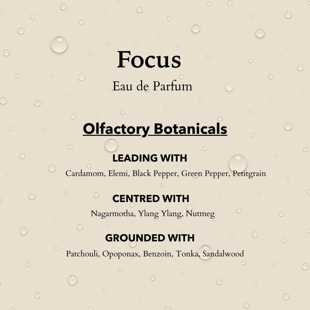 Focus Eau de Parfum | Sharpen Focus &amp; Awaken the Senses 100ml