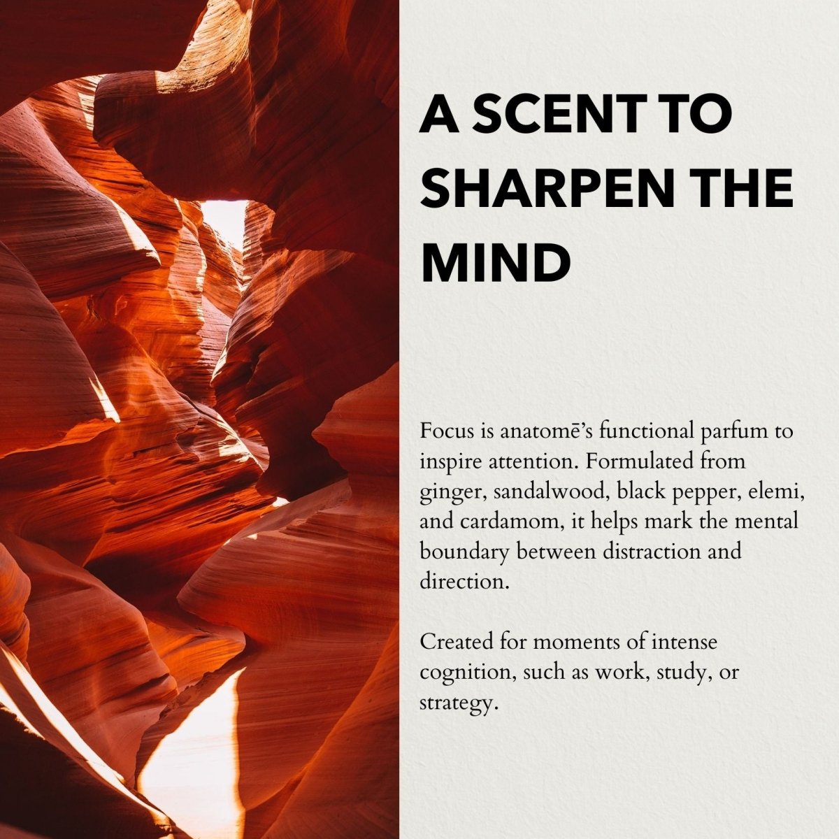 Focus Eau de Parfum | Sharpen Focus &amp; Awaken the Senses 100ml