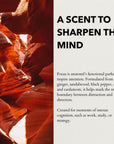 Focus Eau de Parfum | Sharpen Focus & Awaken the Senses 100ml