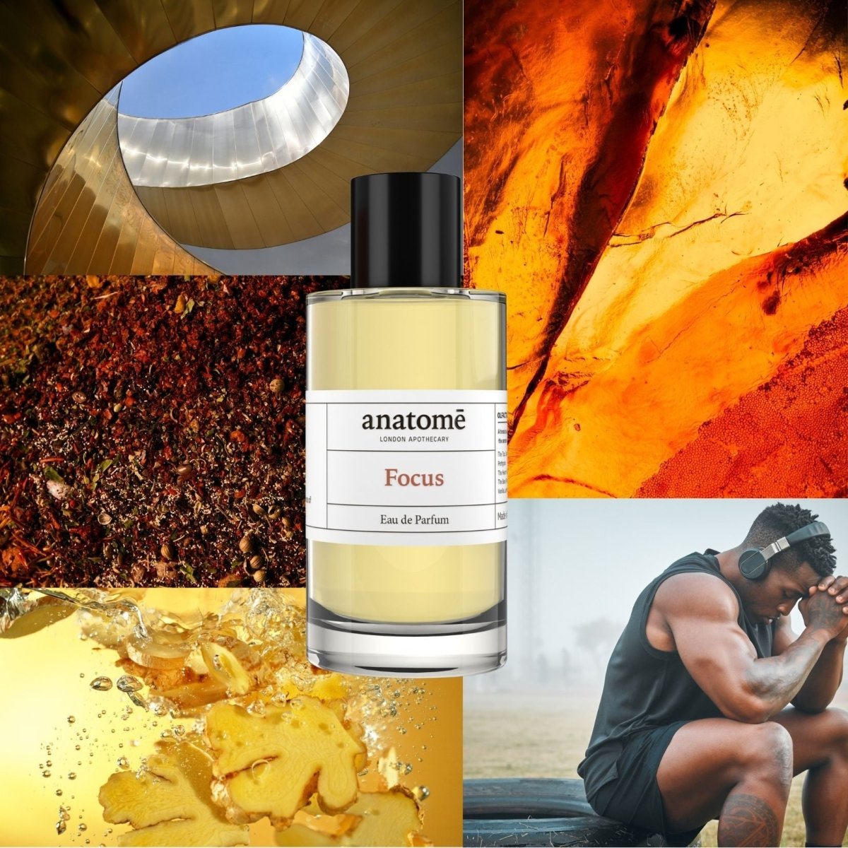 Focus Eau de Parfum | Sharpen Focus &amp; Awaken the Senses 100ml