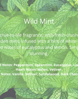 Luxury wild mint scented candle with peppermint, eucalyptus, lemon, handcrafted in amber glass jar, premium home fragrance by Bliss & Blooms at brixbailey.com