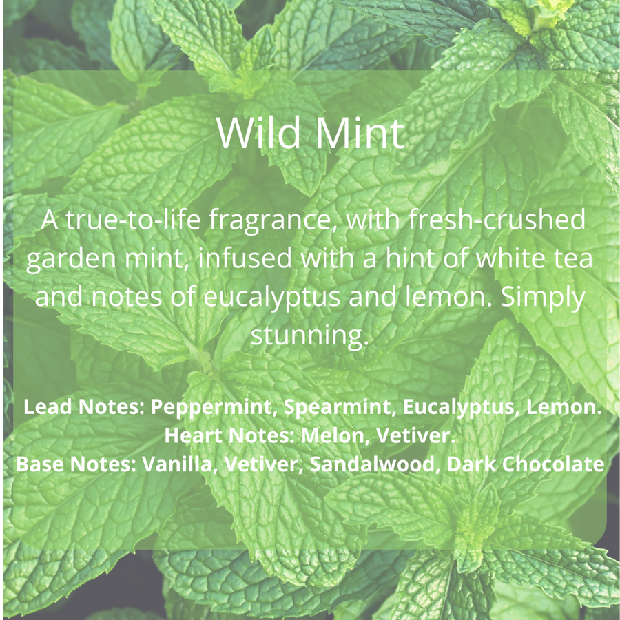 Luxury wild mint scented candle with peppermint, eucalyptus, lemon, handcrafted in amber glass jar, premium home fragrance by Bliss & Blooms at brixbailey.com