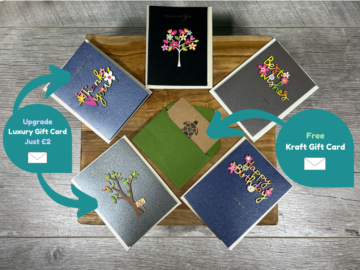 Plant Propagation Gift Set 