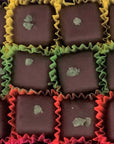 Fresh Mint