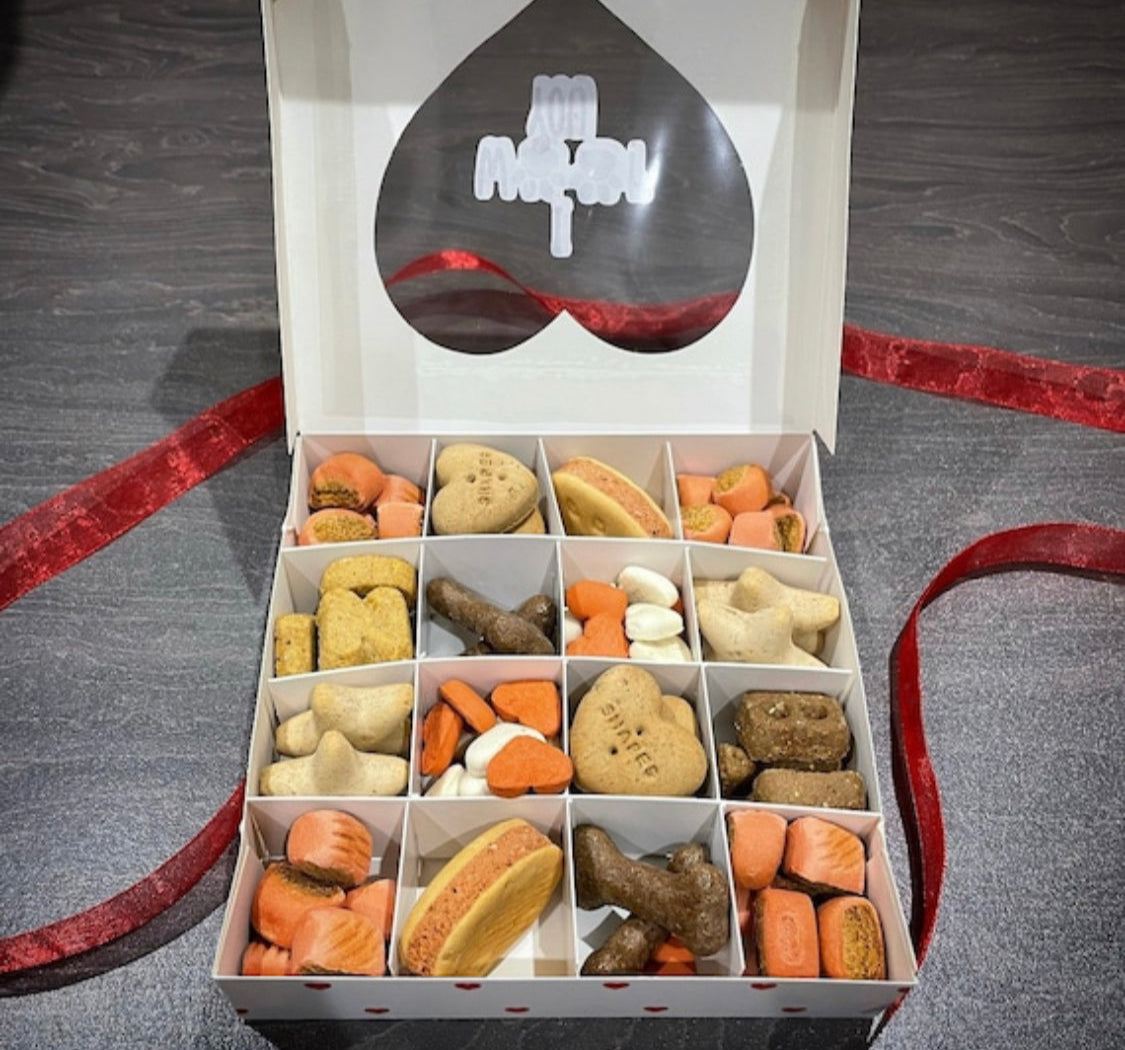 I Believe in Santa Paws Dog Biscuit Treat Box