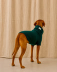 Extra Large British Wool Dog Jumper