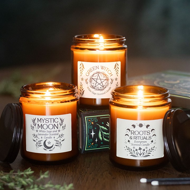 Roots &amp; Rituals Evergreen Amber Glass Candle