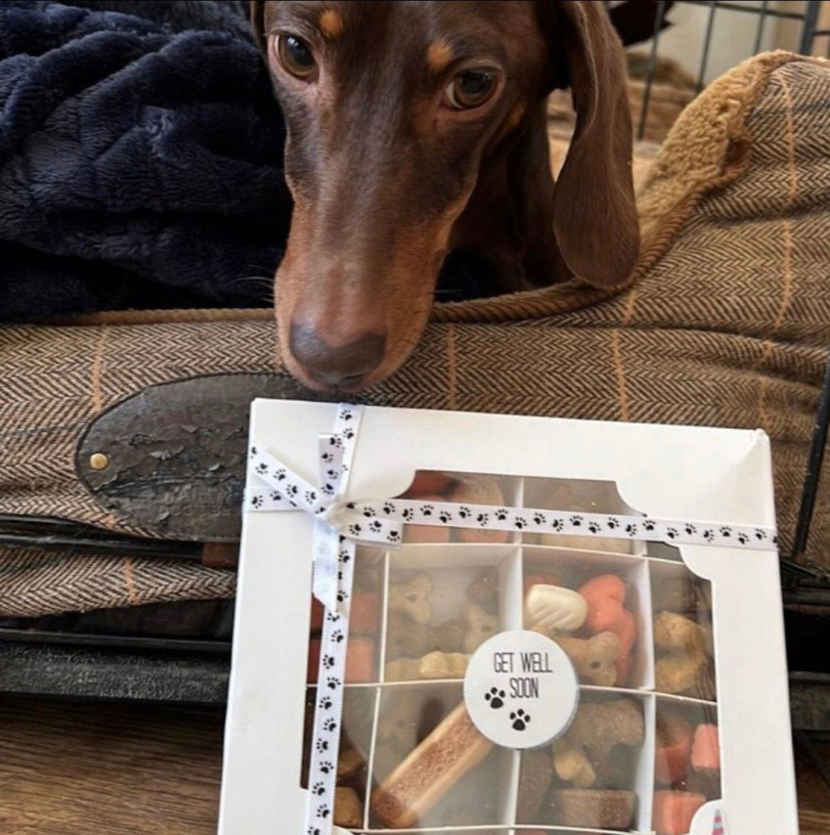 Get Well Soon Biscuit Treat Box