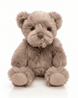 COZY Teddy Bear Super Soft Cuddly