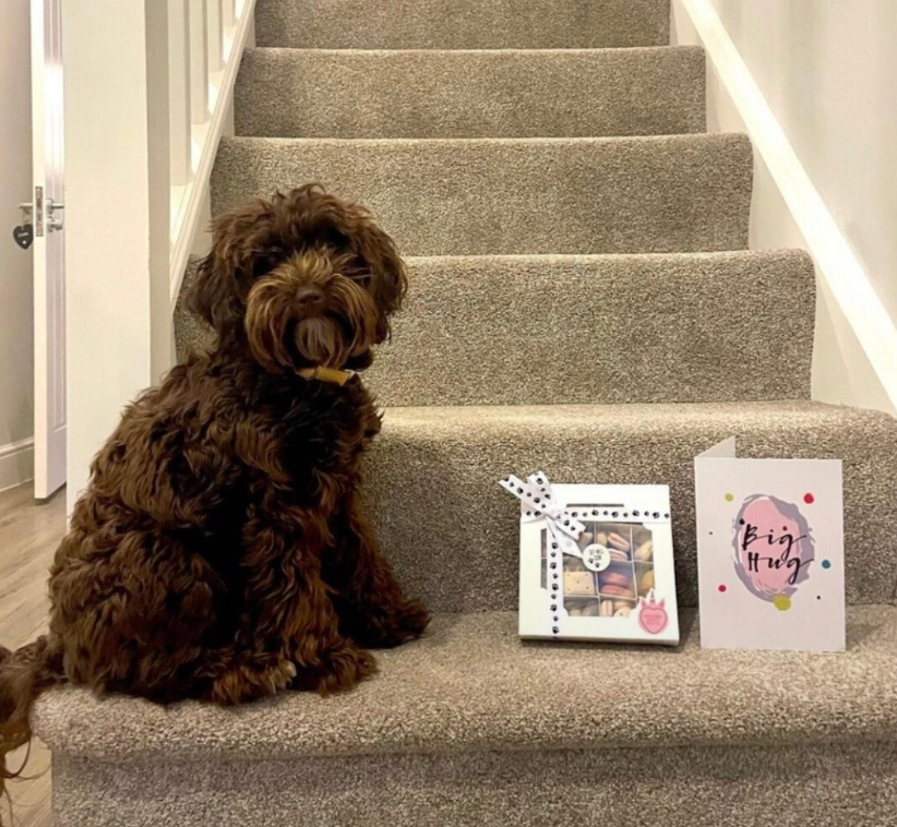 Get Well Soon Biscuit Treat Box